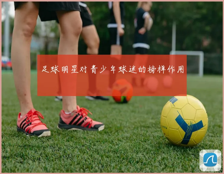 足球明星对青少年球迷的榜样作用
