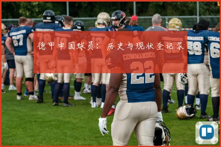 德甲中国球员：历史与现状全记录
