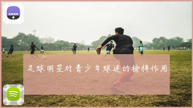 足球明星对青少年球迷的榜样作用