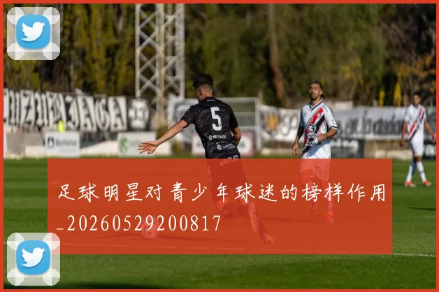 足球明星对青少年球迷的榜样作用_20260529200817