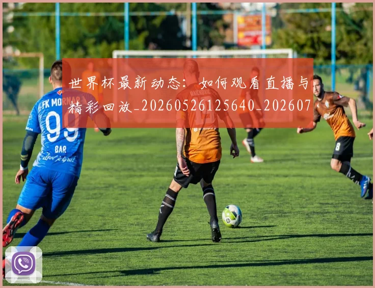 世界杯最新动态：如何观看直播与精彩回放_20260526125640_20260702174037