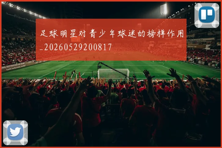 足球明星对青少年球迷的榜样作用_20260529200817