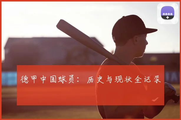 德甲中国球员:历史与现状全记录
